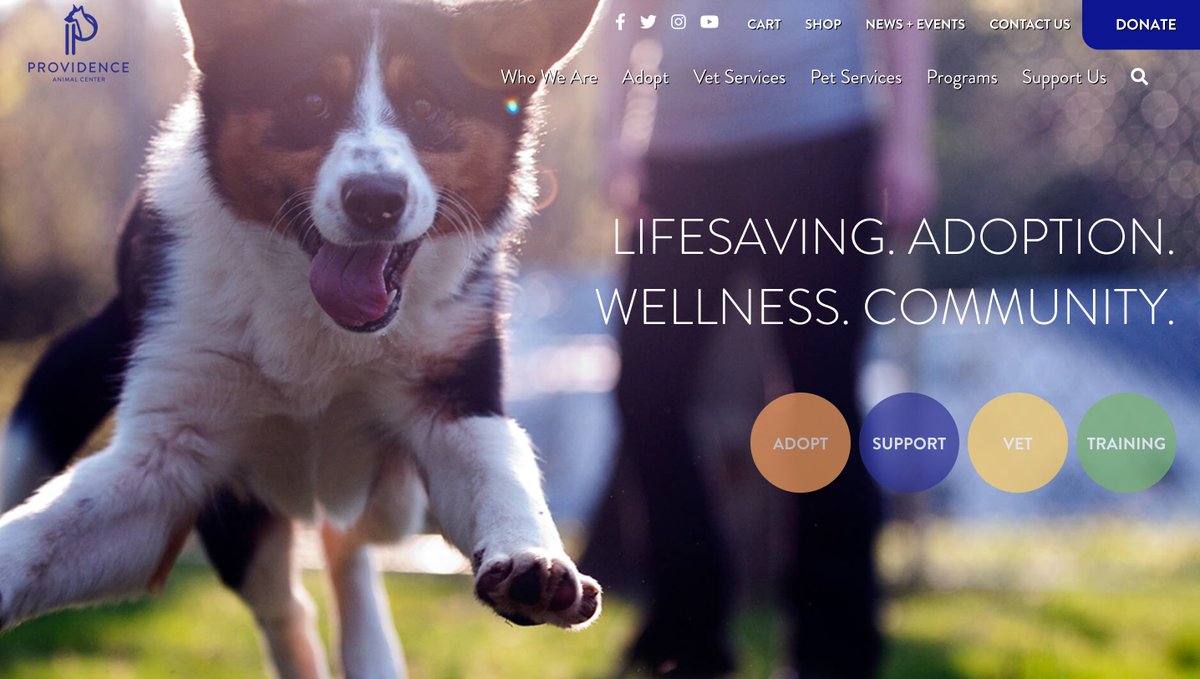The K9 Collective (@k9collectivedao) on Twitter photo The K9C has been thrilled to support <a href="/Providence_AC/">Providence_AC</a> , who's been a beacon for animal welfare since 1911.
From their commitment to 'bully' breeds to offering low-cost vet services, they're changing lives every day.
Here's to another 10 years of lifesaving work! The K9C has been thrilled to support <a href="/Providence_AC/">Providence_AC</a> , who's been a beacon for animal welfare since 1911.
From their commitment to 'bully' breeds to offering low-cost vet services, they're changing lives every day.
Here's to another 10 years of lifesaving work!
