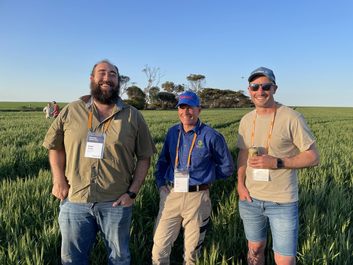 Rabobank Australia tweet media