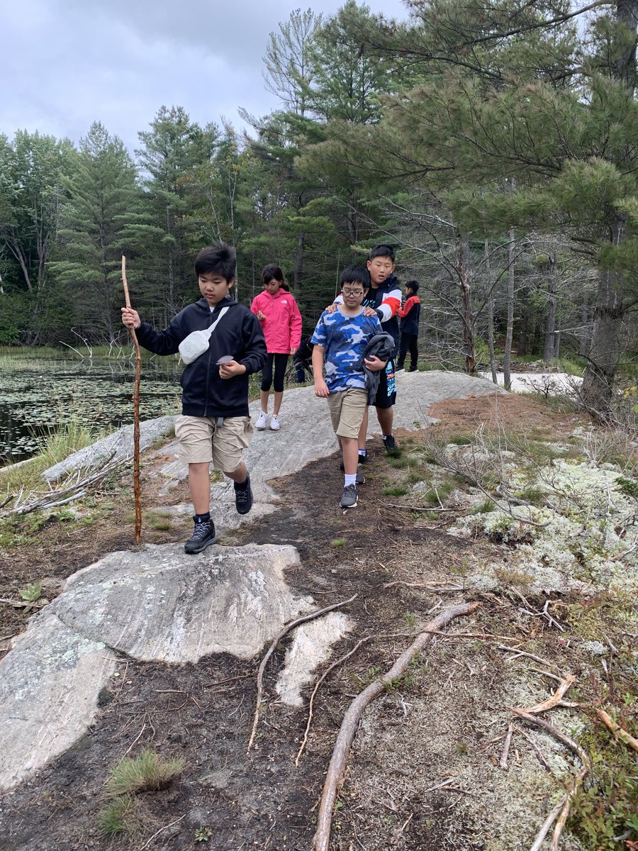 Foraging for supper. ⁦@HTSRichmondHill⁩ at Pine Crest