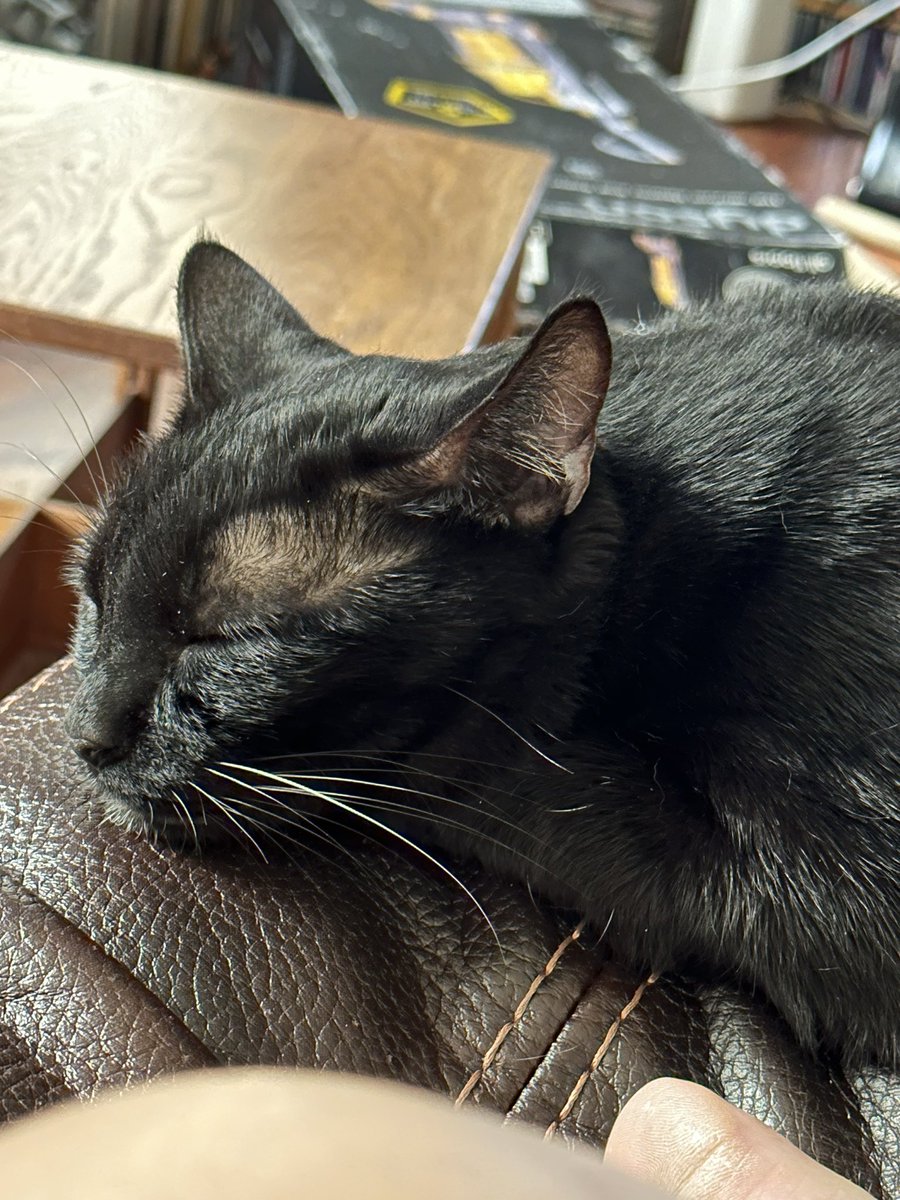 Dr. Karen K. tweet media