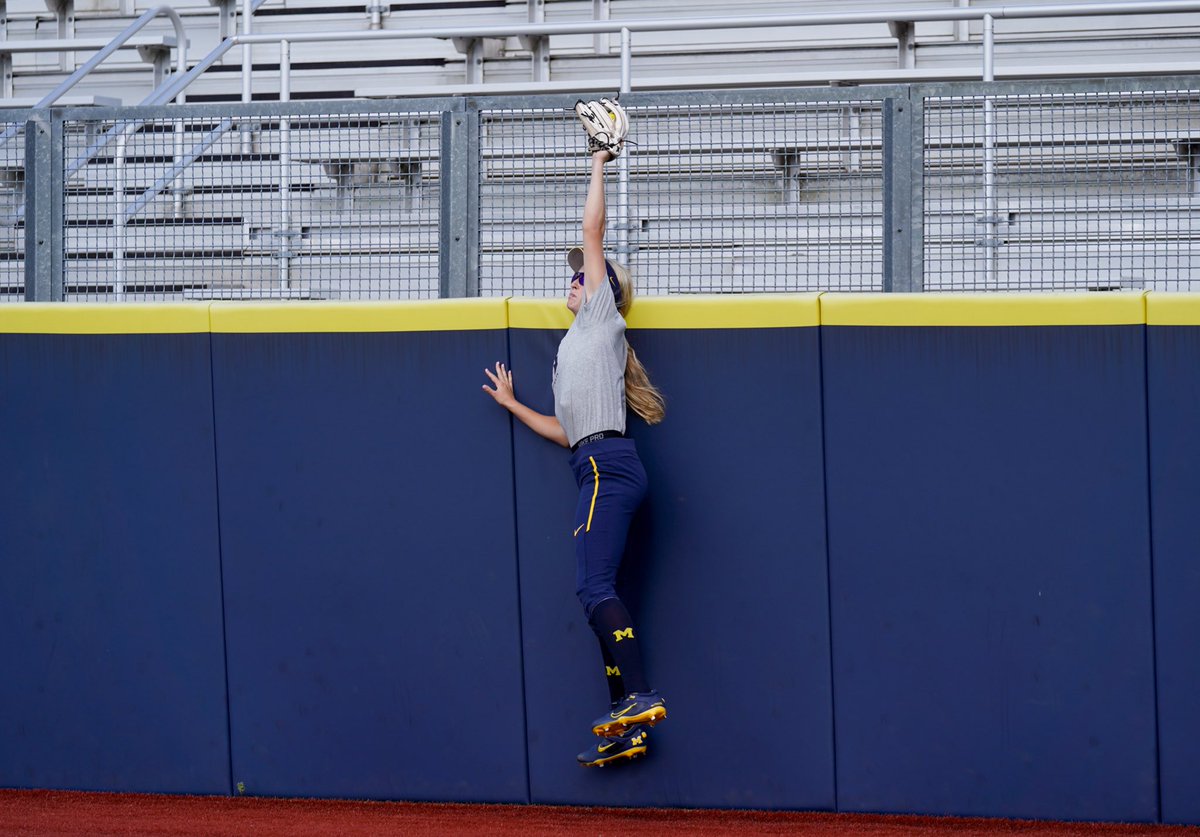 umichsoftball tweet picture