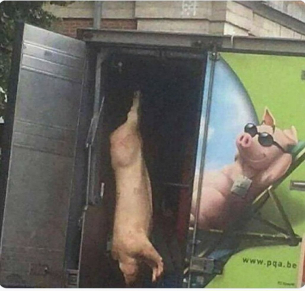DrFarazHarsini's tweet photo. Animal businesses = Lies 💰 🤥
Veganism= Truth 🌱🌍

The pictures on meat, egg, and dairy products are deceptive. No animal is happy when they are in a slaughterhouse.

Don't let them lie to you. Don't support animal exploitation with your money, and go vegan TODAY! https://t.co/X8fCOD85Qq