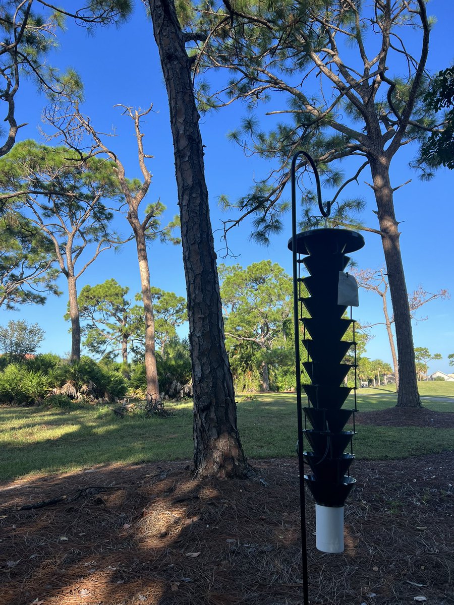 NativeBirdBoxes's tweet photo. Just doing our part to provide an added tool to your toolbox! #proactive #pine #pinetree #help #beetles #florida #southeasternus
@NativeBirdBoxes https://t.co/N5HEUjuneY