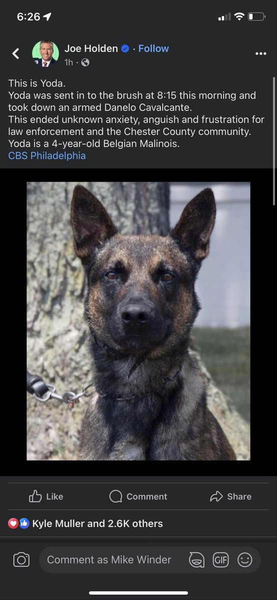 Mike Winder tweet media