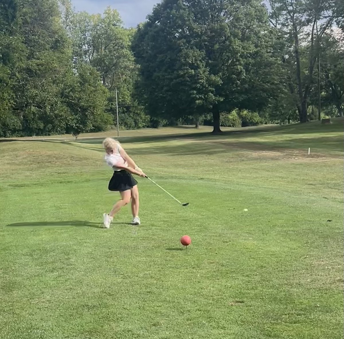 Wapahani Girls Golf tweet media