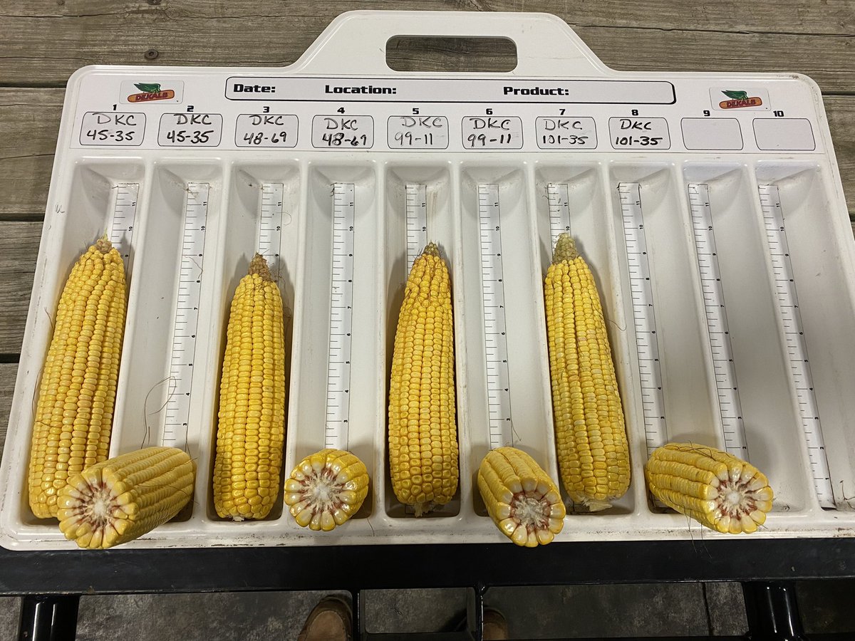 Zak Garver tweet media