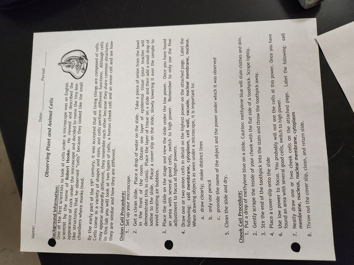 melanie_kellam's tweet photo. It's Science Lab Week @WMSHCS, more posts. Let's begin with @LindseyClass observing plant and animal cells under a 🔬What are the similarities and differences between the two? #ExpectExceptionalHCS #WinningForKids @wilkerson_banks @RobynWhiteHCS @serveandlead613 https://t.co/UA9Ih6Lap6