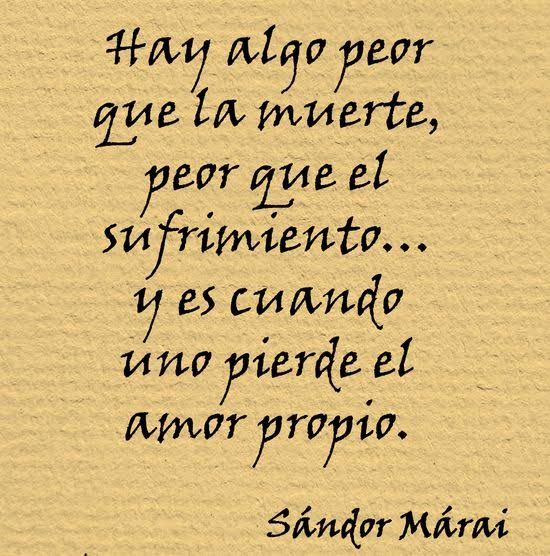 Alejandra Urbina (@auc_koda) on Twitter photo 