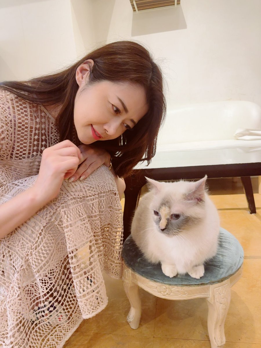 猫カフェ🐈🐈‍⬛🐈🐈‍⬛
かわいかったなぁー😺

今月の名古屋、東京のイベントに空きあります^_^
ご予約、お問い合わせはhojyoclub＠gmail.comにメールください♡ https://t.co/LeMMzYISfl