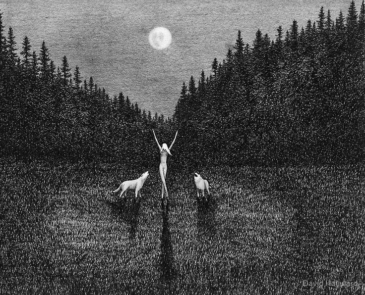 'Sophia with Wolves under the Full Moon' by David Hayward

#davidhayward #illustration