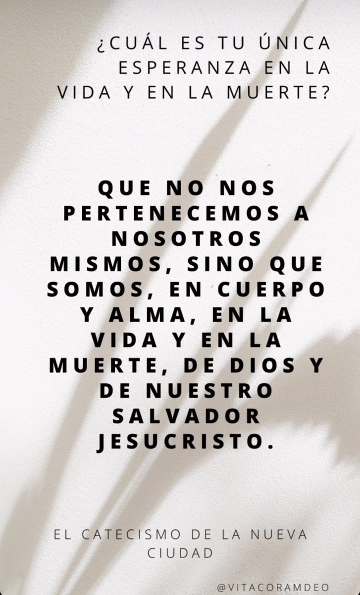 vitacoramdeo's tweet photo. https://t.co/kMGSZYfTkK