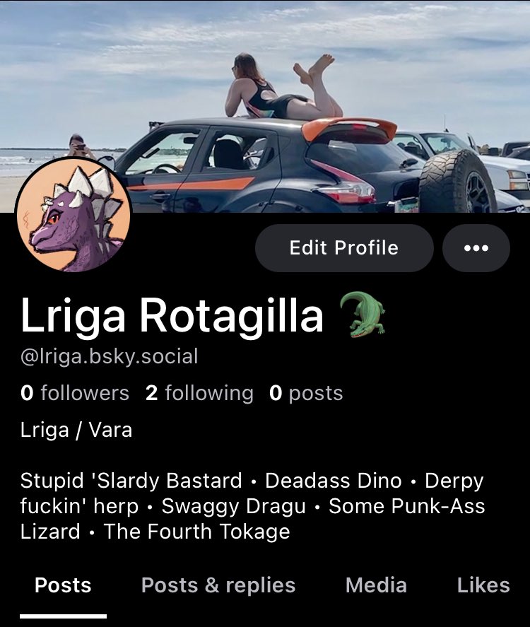 Lriga_'s tweet image. It happened finally
I’ve been sitting on a code for a little while waiting to see what happens, but lately it seems like engagement on here dropped HARD and feels like this app is finally dying
So if this post graces your timeline, please follow Lriga on da blu-ski :)