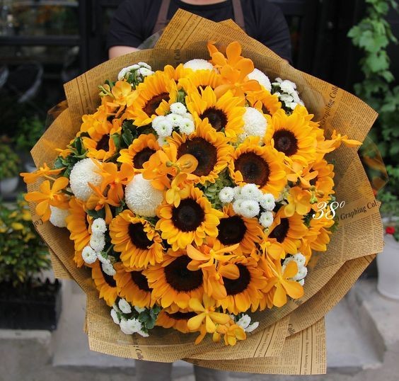 sunflowerchives's tweet photo. My happiness 🌻 https://t.co/3OyIUE8EXj