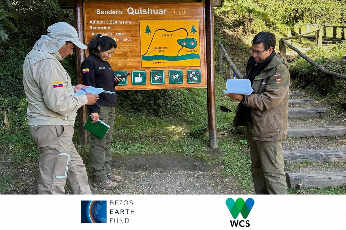 WCSEcuador's tweet photo. #NoticiasWCS | Avanzan las jornadas de capacitación sobre el aplicativo #SMART y #SMARTMobile para el Área Nacional de Recreación El #Boliche, el Parque Nacional #Cotopaxi y la Reserva Ecológica Los #Ilinizas. 😉 
🖐️ #JuntosPorLaVidaSilvestre 💚💙 #WeStandForWildlife https://t.co/kp7qi9pLy7