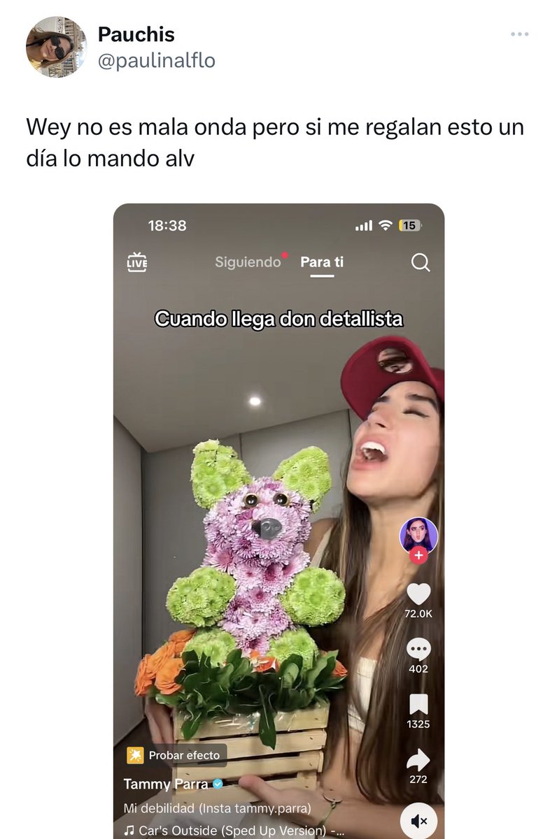 Ainoa García (@aiinoagarciia) / Posts / X