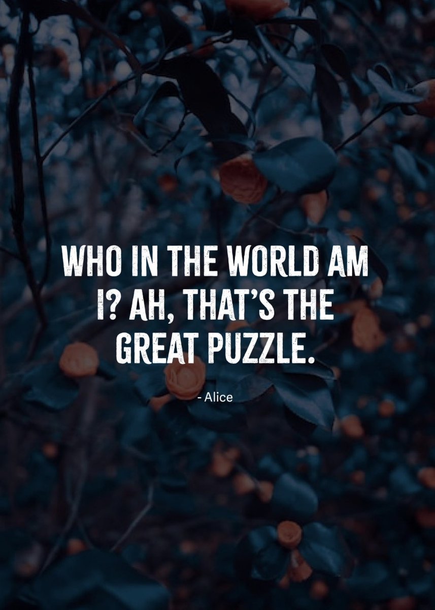 Infinitely Irrational tweet media