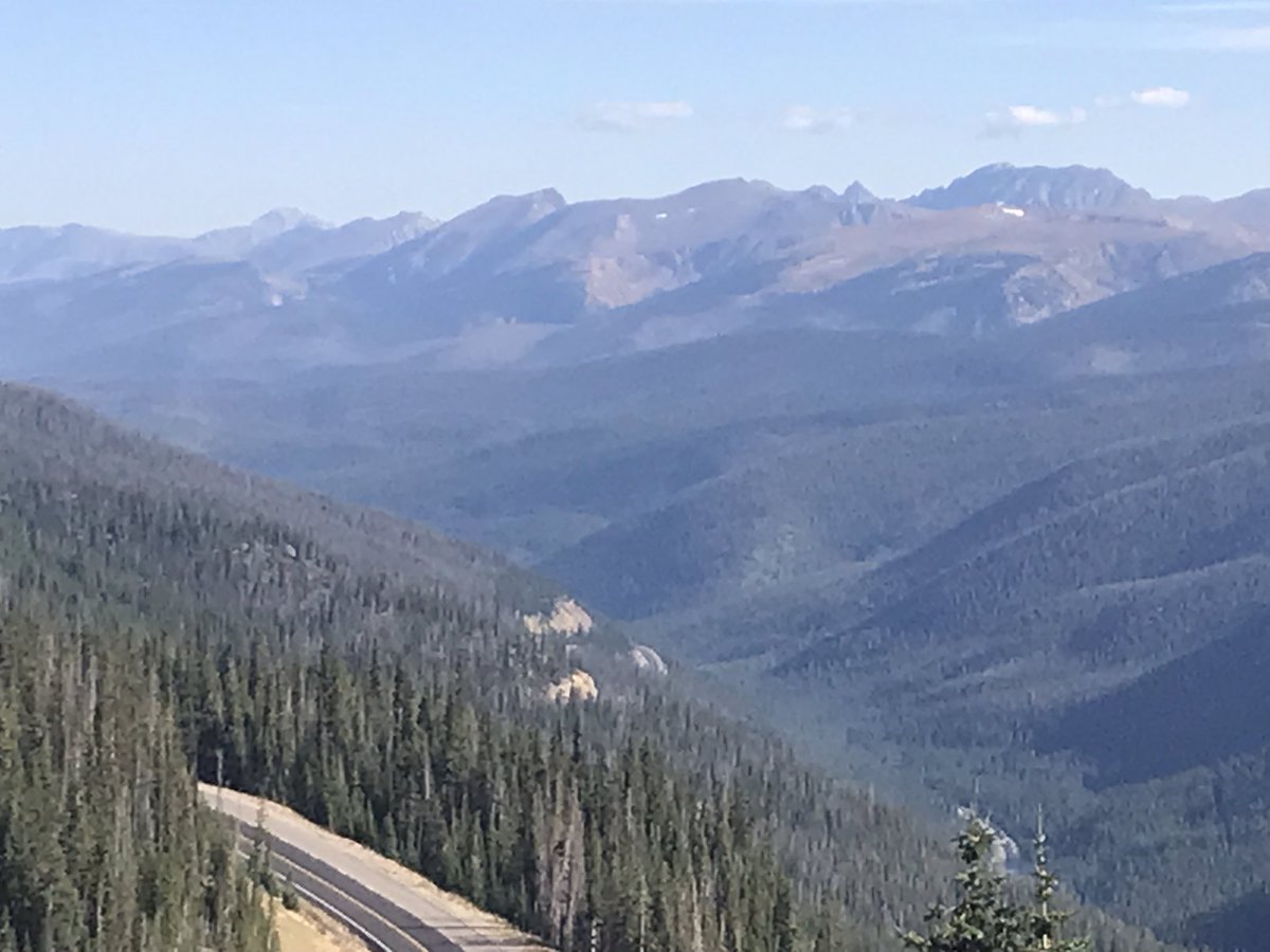 Donald Sinner tweet media