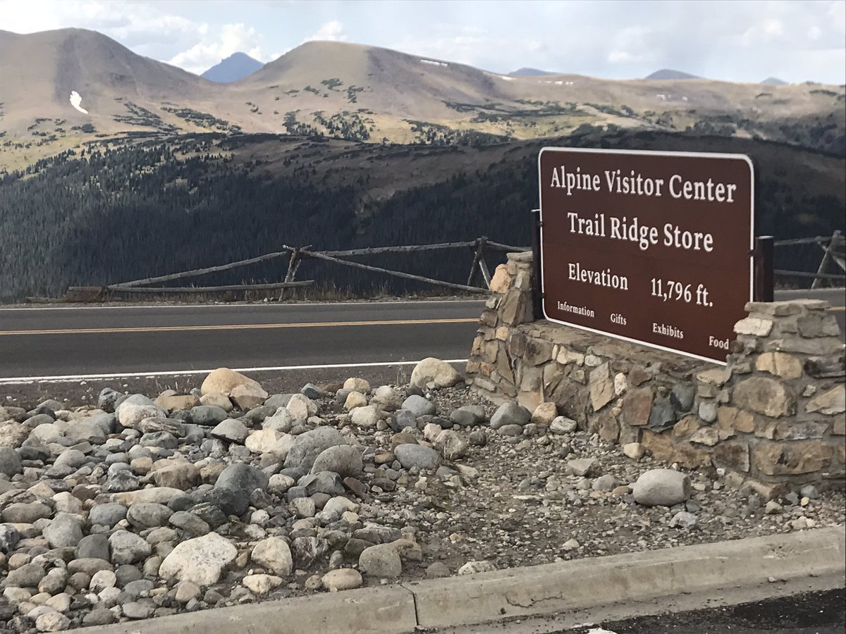 Donald Sinner tweet media