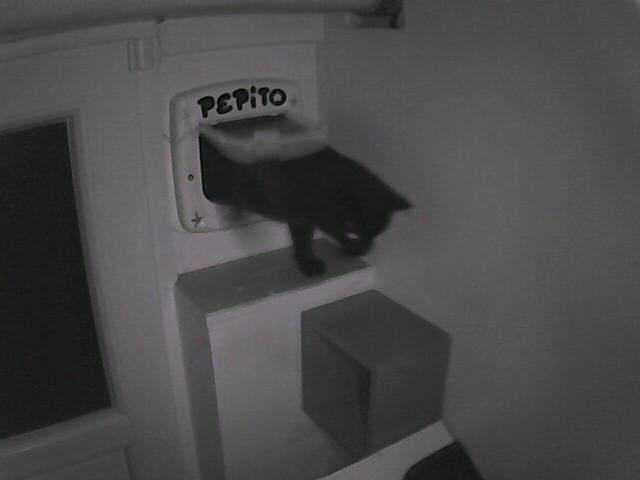 Pépito is back home (02:26:36)