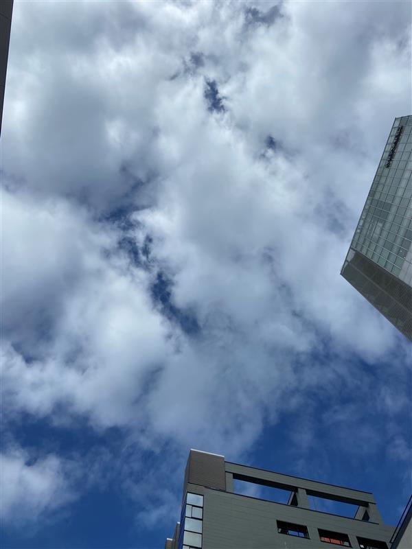 PcVueJapanaichi's tweet photo. 今日の #名古屋 の空は、#晴れ です☀
今日は、コスモスの日だそうです。
今日も一日頑張っていきましょう!
#企業公式が毎朝地元の天気を言い合う
#企業公式がお疲れ様を言い合う
#企業公式が朝の挨拶を言い合う
#企業公式秋のフォロー祭
#企業公式相互フォロー
#企業公式
#PcVue https://t.co/0MY6U6vfWa