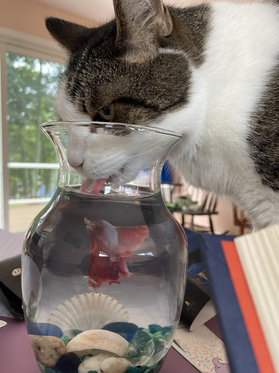 Stefan and his pal Titan. I like to say that Stefan enjoys a nice cold marTitan now and then.