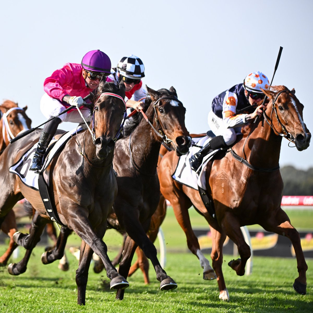 bet365_aus's tweet image. 🚨 Well-supported runners:

#Bendigo
R2. Keep Your Cool $6.50👉$2.90

#Bowen
R3. Medal $4.20👉$2.10

#Northam 
R3. Decoration $21👉$7.50
R6. The Coolakin King $26👉$8.00

Markets▶️bit.ly/3GrzHgs.

WHAT'S GAMBLING REALLY COSTING YOU? Set a deposit limit.