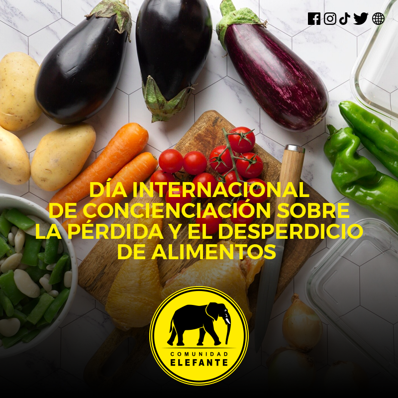 ElefantesGuate's tweet photo. Durante este día se hace conciencia sobre el número de personas afectadas por el hambre ya que ha ido en aumento y también sobre el aprovechamiento de los recursos, pues cada día se desperdician toneladas de alimentos y es fundamental reducir las pérdidas.
#ComunidadElefante https://t.co/SXI1jziLQ3