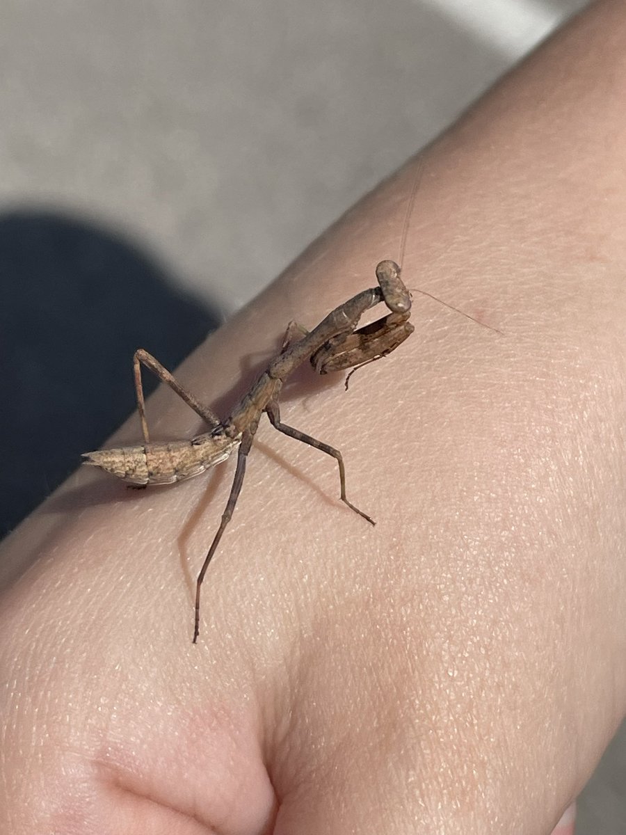 Nicole Hertel tweet media