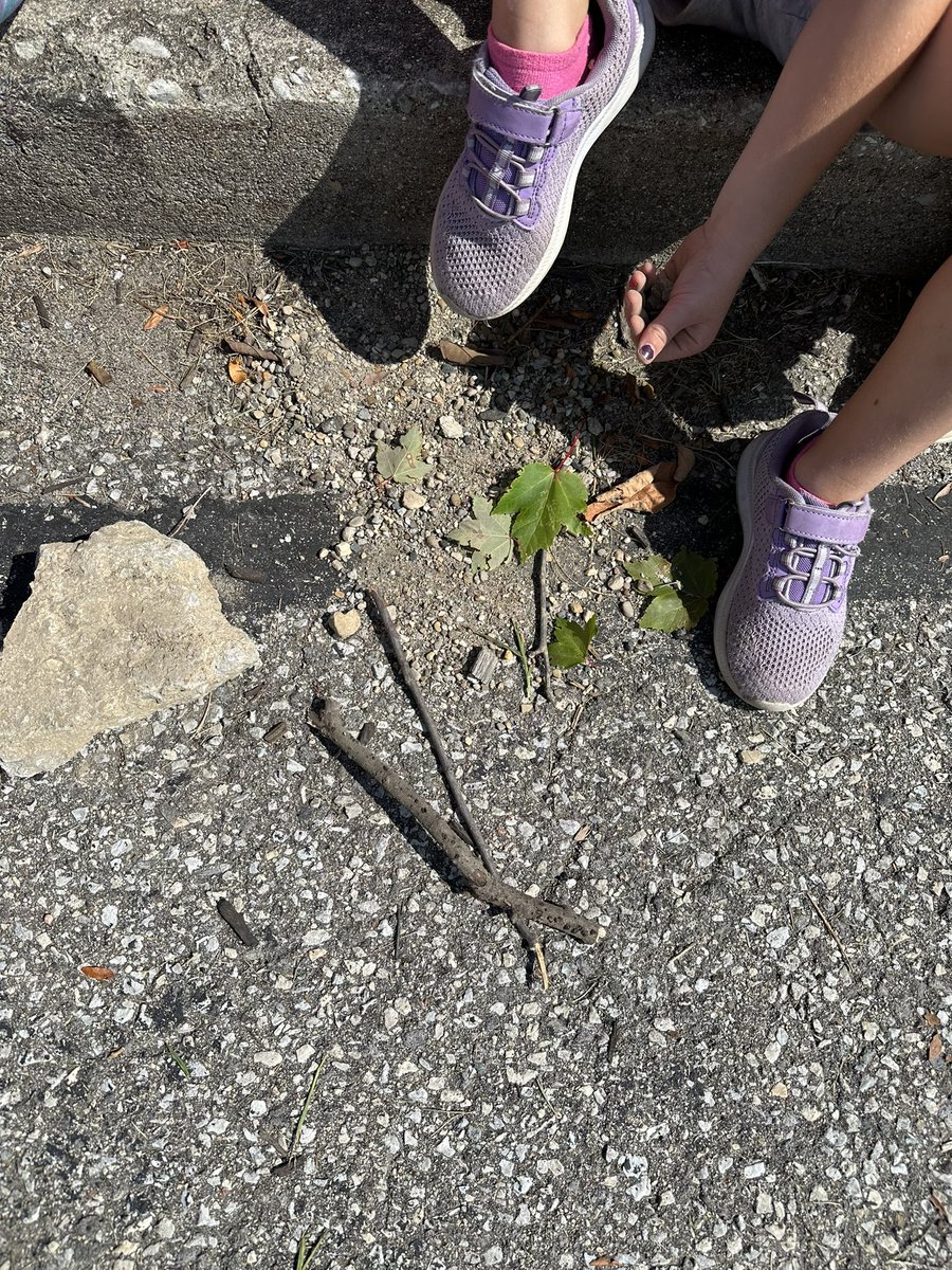 Cartycrew's tweet image. We took our sorting lesson outside on this beautiful day today. Mathematicians can find math everywhere.