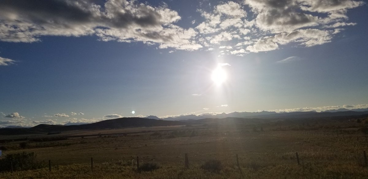 Kelly Hutchinson 🇨🇦 tweet media