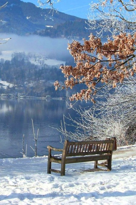 AmeliaWardfs's tweet photo. Watch here as autumn falls to winter " 🪑📷 https://t.co/fLxzMb4GJO