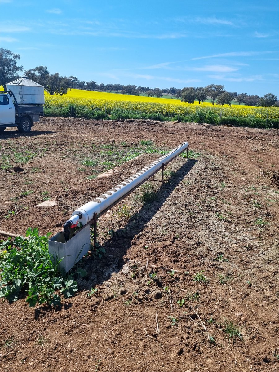 Has anyone designed a successful continuous flow stock watering system for a sheep feedlot? Any advice appreciated