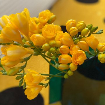 thgesvxnk's tweet photo. 🌹 https://t.co/dOcxPQ8EkP