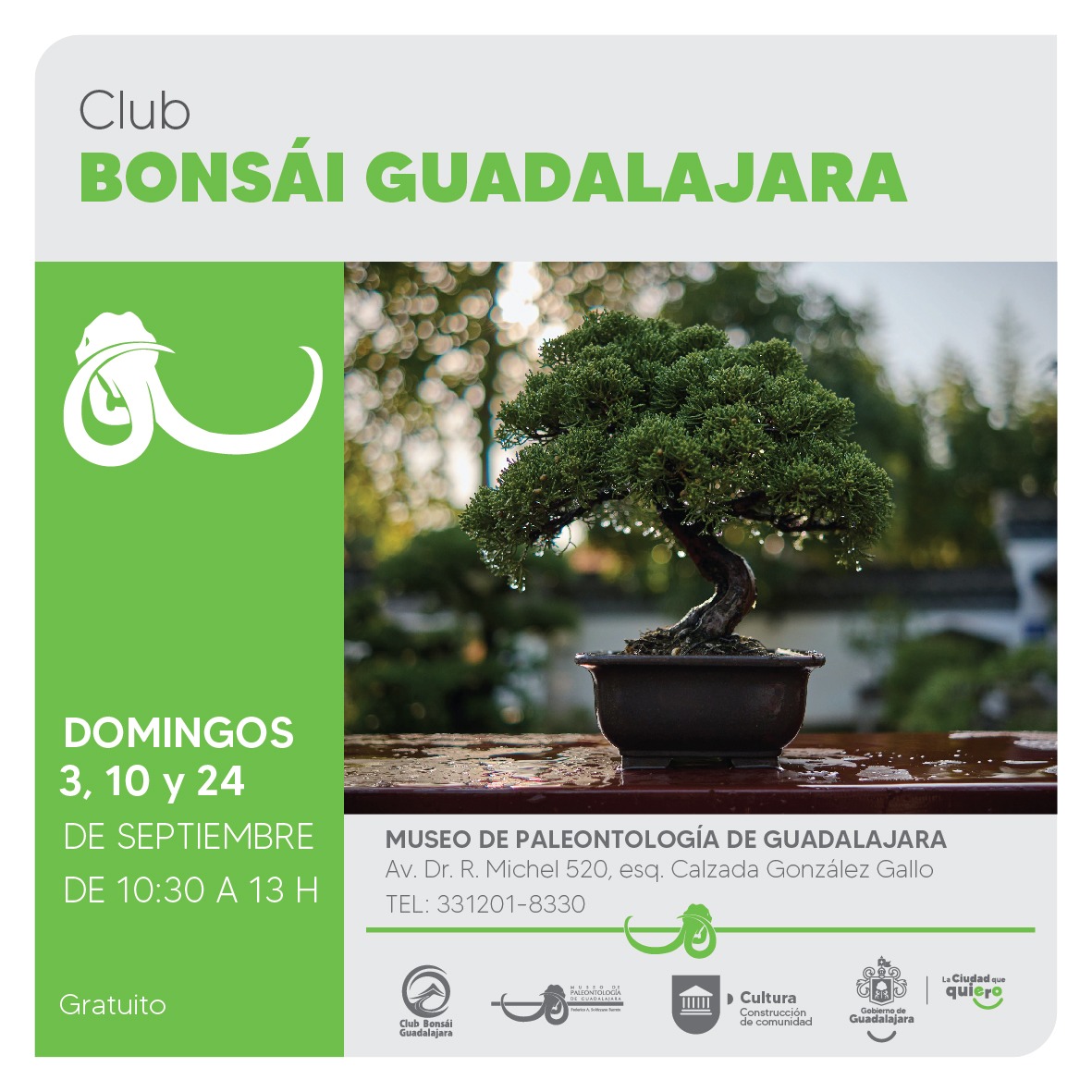Consejo de Colonias Unidas x GDL tweet media