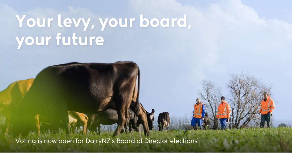 Voting for DairyNZ’s Board elections is now open, until 12 noon Tuesday 10 October 2023. Levy payers, look out for your vote pack in the post and find out more about the candidates: bit.ly/3sKd3N1
