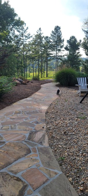 Gorgeous world https://t.co/ZuGWLBgU1P<a href="/tag/womensrights"class="tags"><span>#womensrights</span></a>