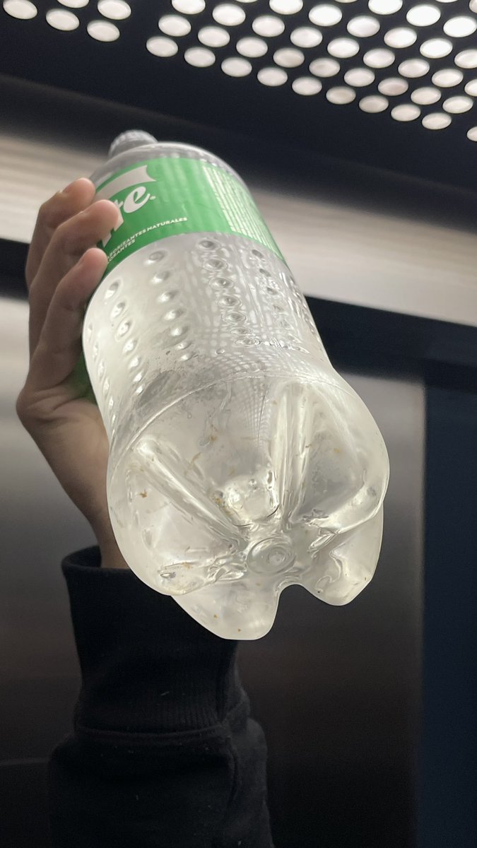 Sofi Morales🦒 tweet media