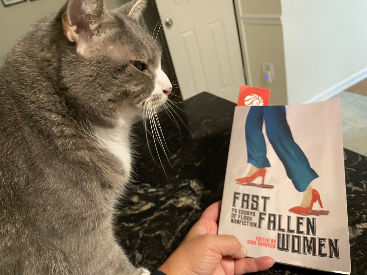 mjtibbs's tweet photo. #FastFallenWomen arrived today! My essay, page 96! 

#writing #WritingCommmunity #socool https://t.co/OSm9Mccysx