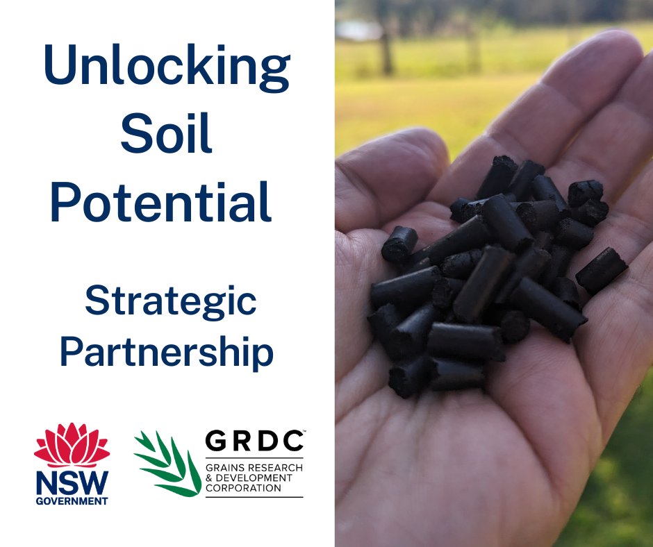 Unlocking soil potential to increase productivity
NSW DPI &amp; <a href="/theGRDC/">GRDC</a> continue to partner on significant projects for grain growers, announcing the Unlocking Soil Potential Strategic Partnership.

MORE 👉 brnw.ch/21wCyLA

#grdc #strongerprimaryindustries