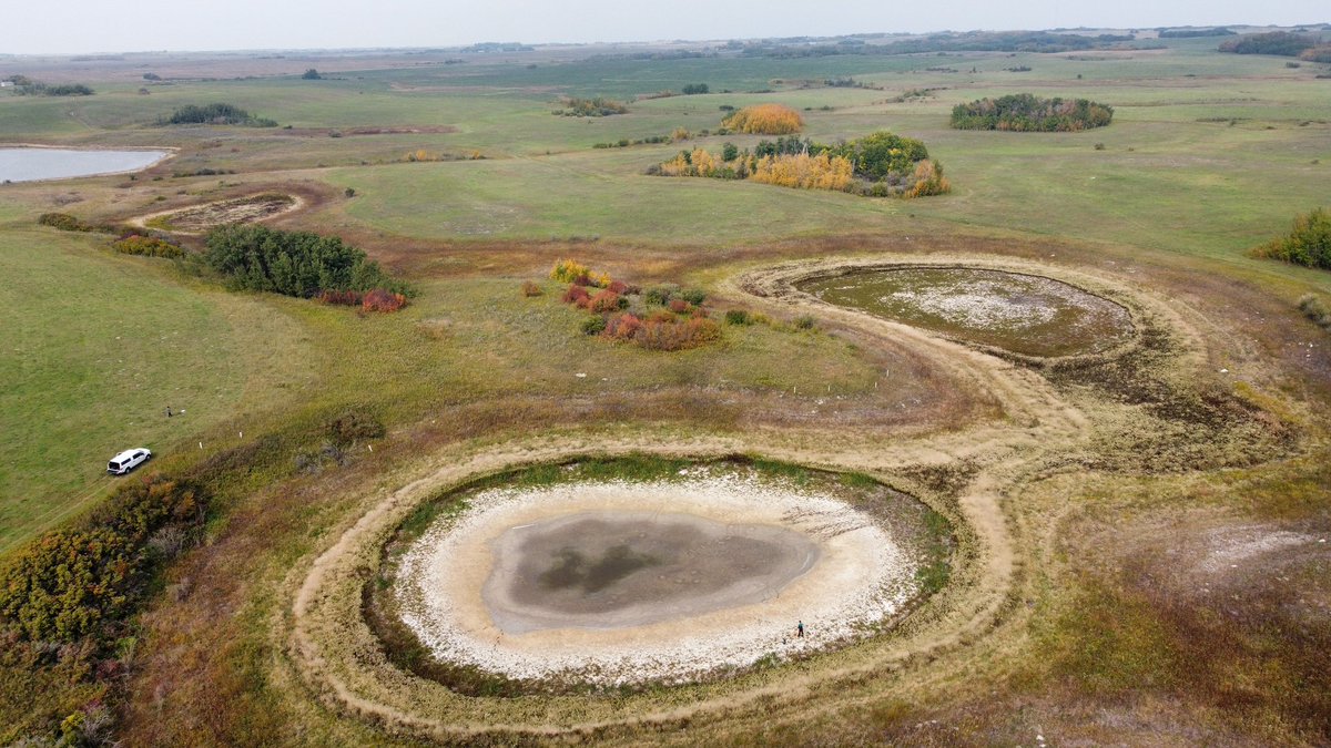 AMuenchrath's tweet photo. Some very pretty and very salty prairie potholes at St. Denis National Wildlife Area 😁 #Dronesarefun https://t.co/2YvjSg3Kit