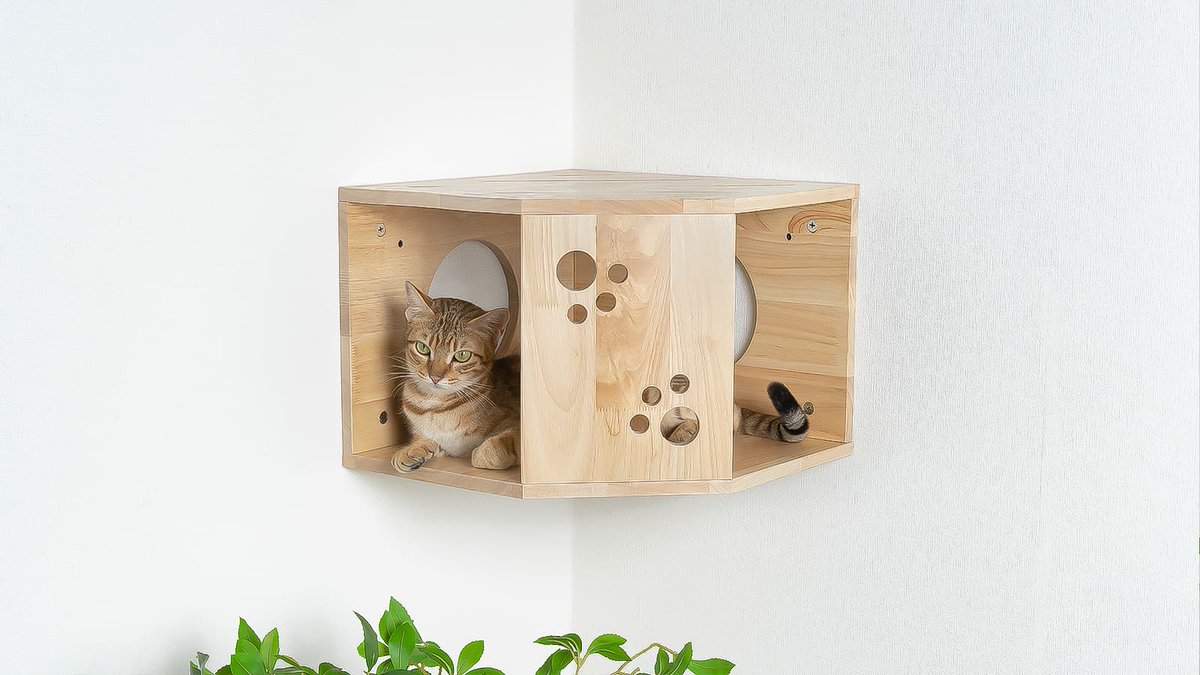 Why do cat lovers need cat wall shelves? Cat wall shelves provide an ideal place for cats to exercise, explore, rest and interact, reduce behavioral problems such as cat damage to furniture, and improve the quality of the indoor environment.#petomg #cat #catcute #cattree #catwall