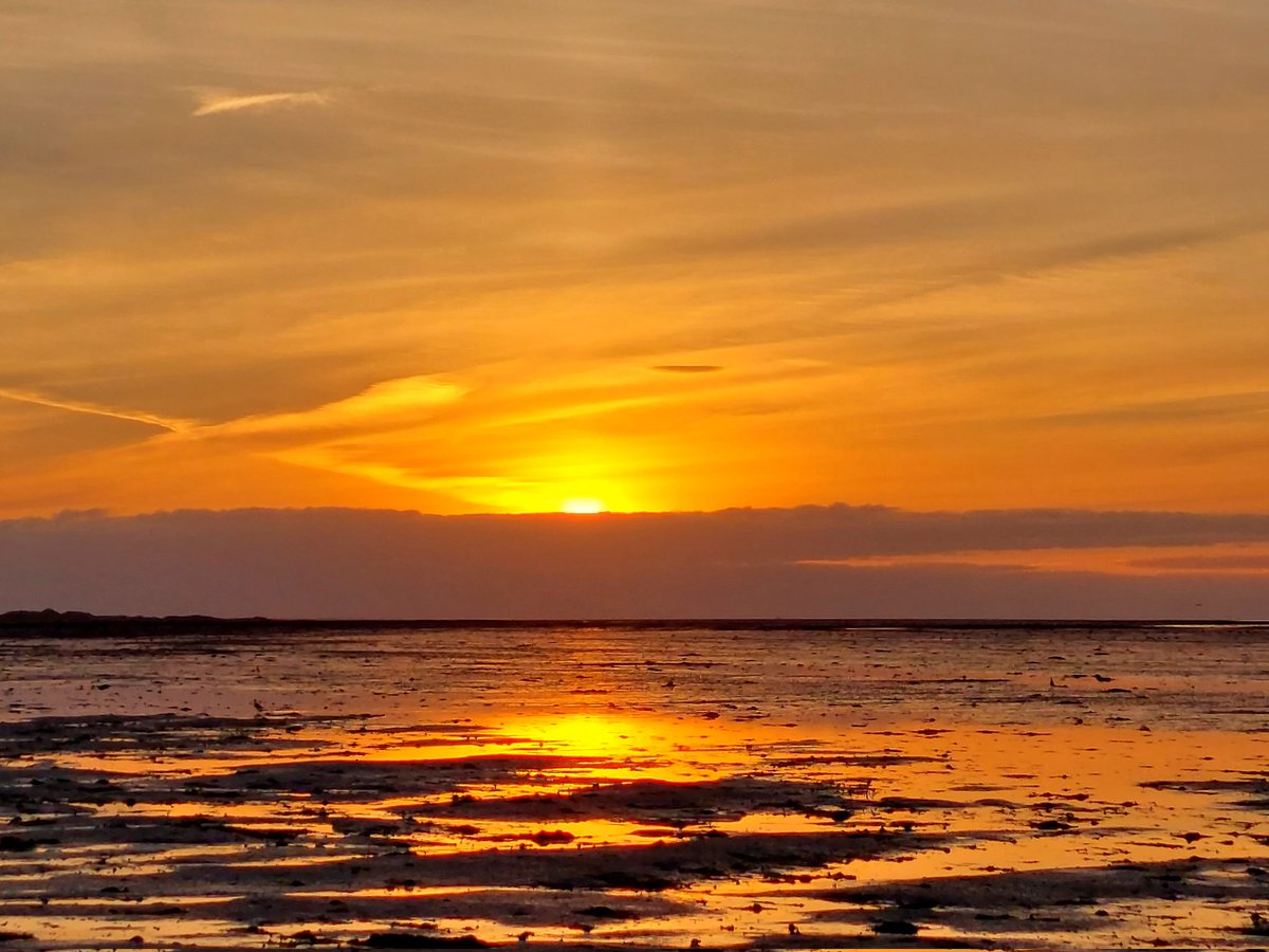 Goedemorgen #Ameland, alweer een prachtig begin (geur kamperfoelie, wadgeluiden, lepelaars en reeën erbij denken 🌹)