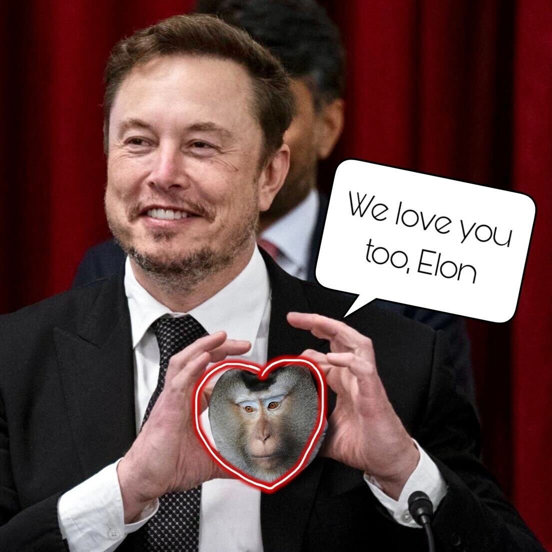Monkeys24_7's tweet photo. @elonmusk From the bottom of our monkey balls @elonmusk 🫶 https://t.co/58tvvtwjD9