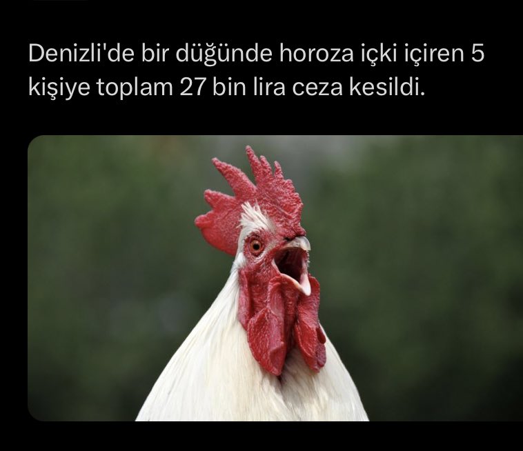 neden ya