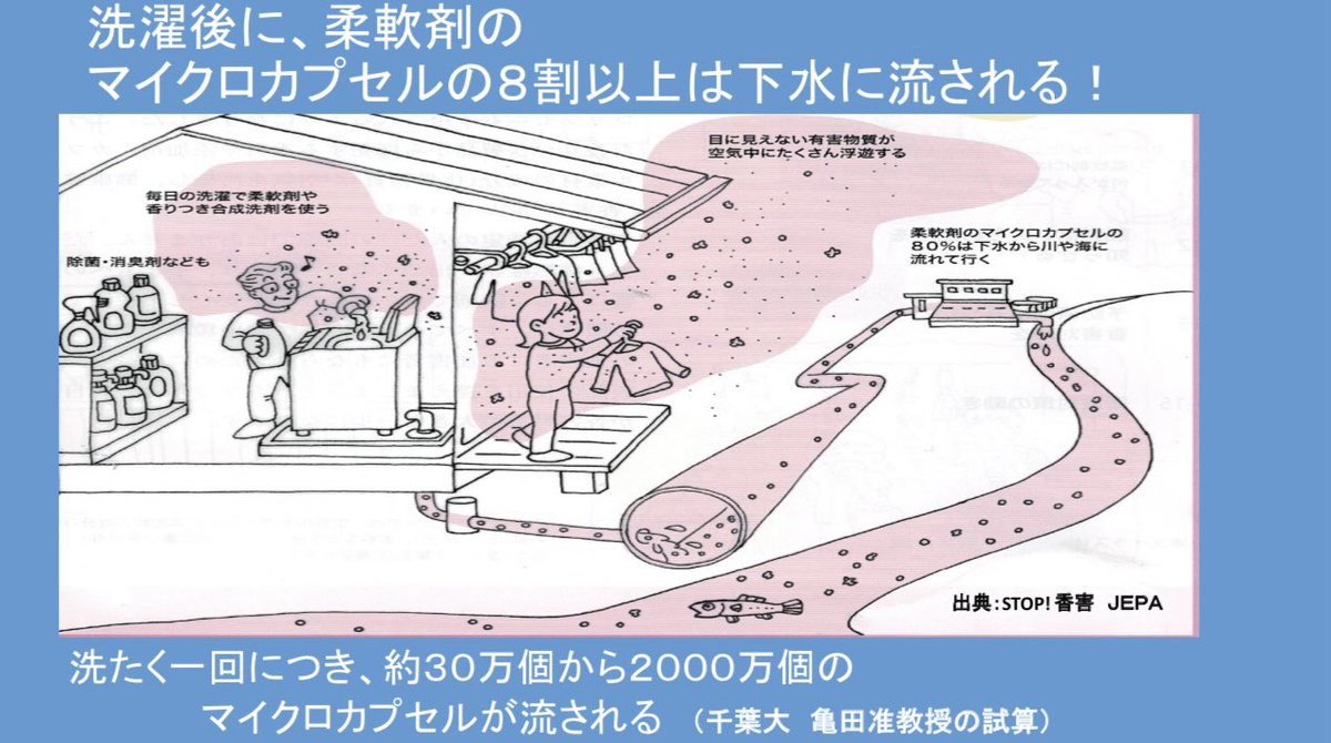 Hiyodori_Kibio's tweet photo. ・洗濯後に、柔軟剤のマイクロカプセルの8割以上が下水に流される。

・洗濯一回につき、約30万個から2000万個のマイクロカプセルが流される。

・カプセルの壁剤は多様なプラスチック（合成樹脂）である。

・カプセルの中身は石油から作られる合成香料で、発がん物質や環境ホルモンである。 https://t.co/gglw1ZxhOP