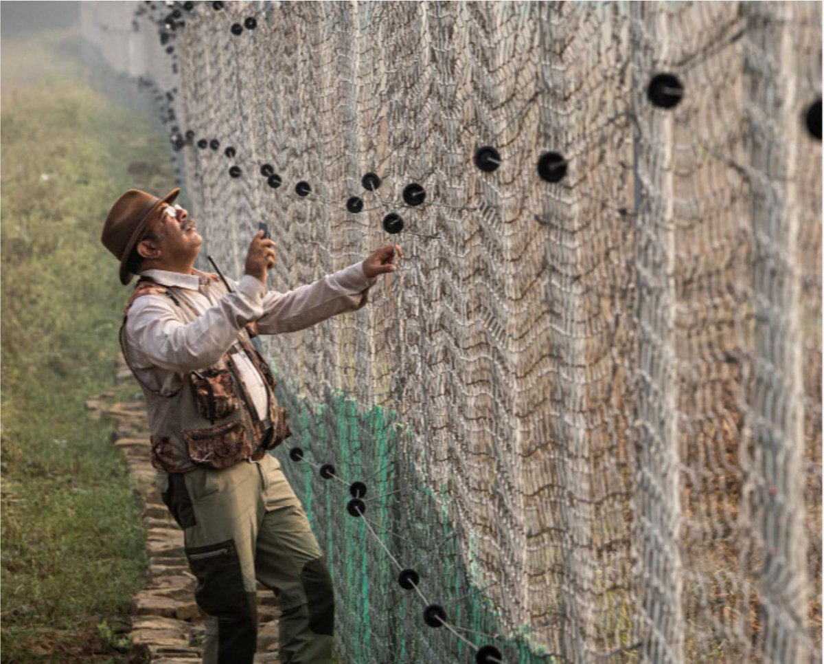 wii_india's tweet image. One year anniversary of Cheetah is around the corner! 🐆Reflecting on last year, we put our hearts, minds and soul into every step to ensure success! #mudonboots #ProgressMatters @moefcc @ntca_india @vrtiwari1 @SPYadavIFS