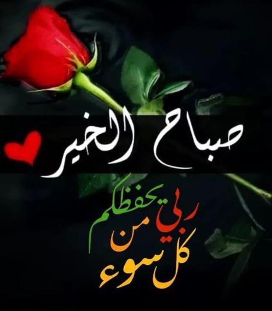 Tarek El-Sharkawy (@tarekel39486408) on Twitter photo 