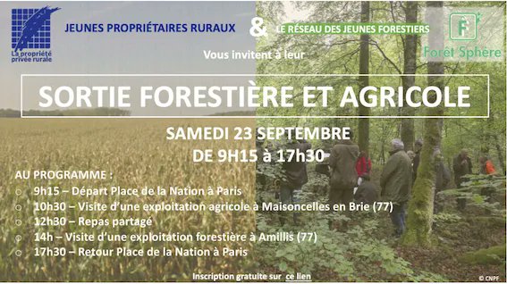 Fransylva tweet media