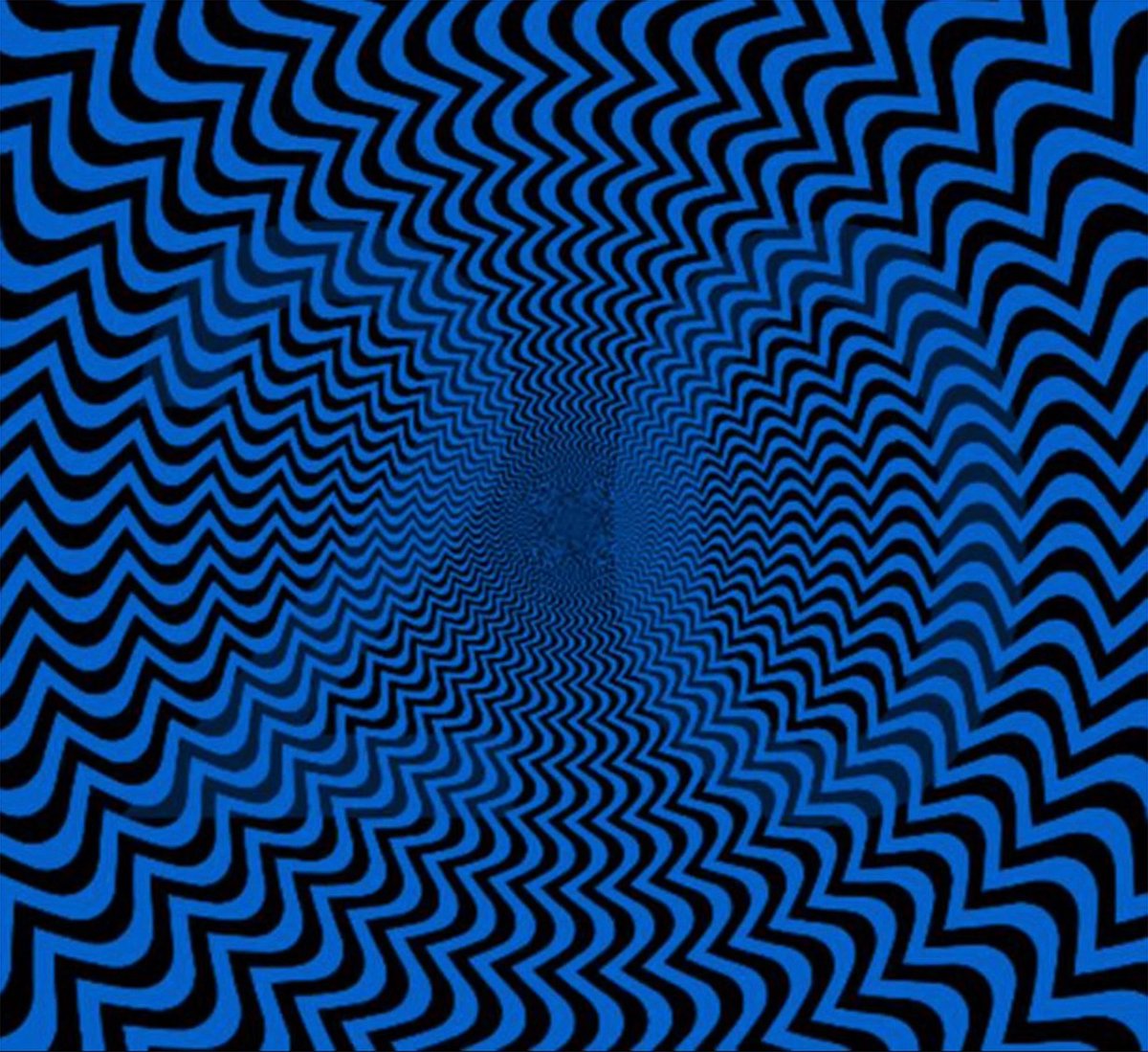 Not Elon Musk tweet media