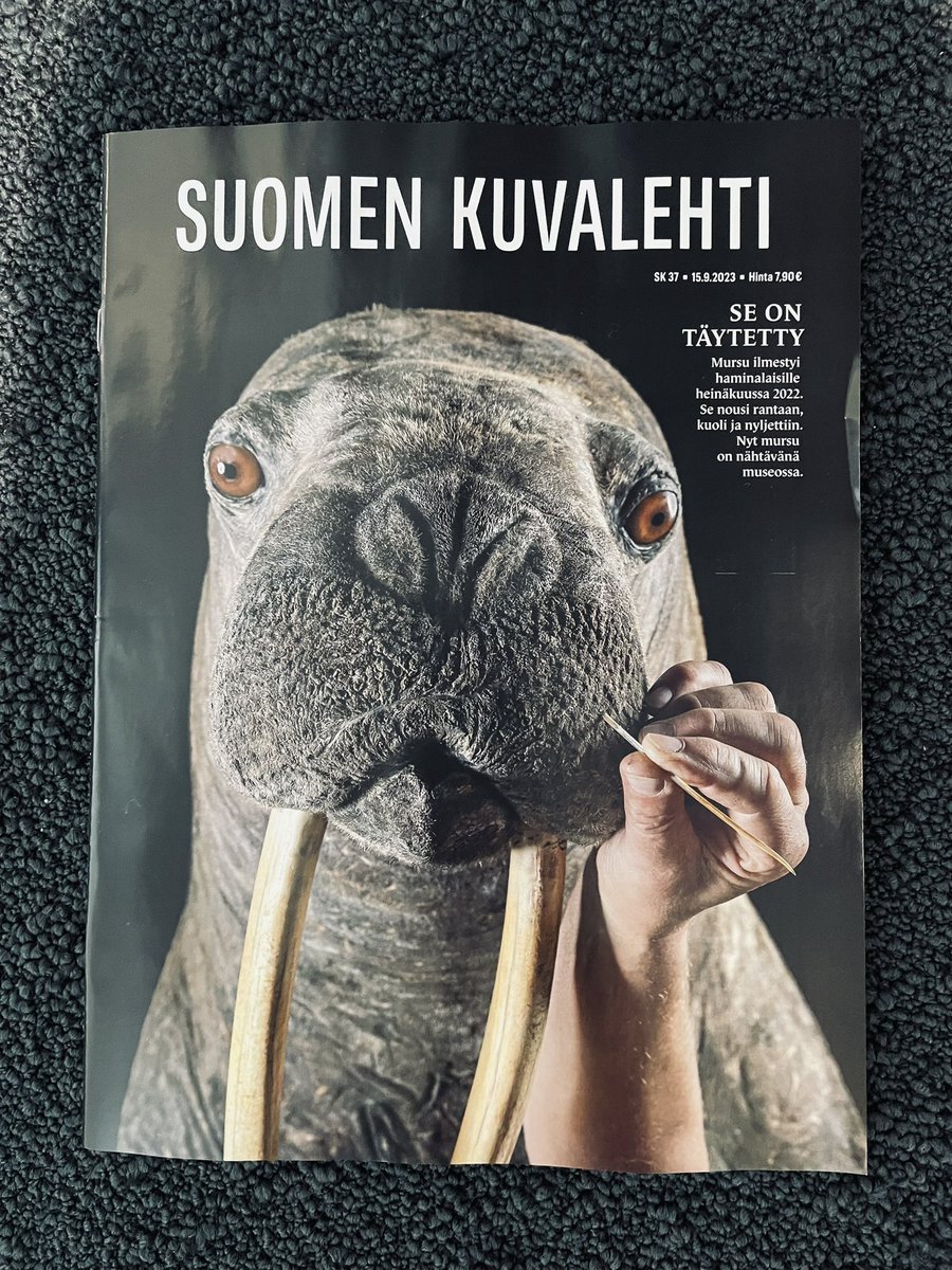 SK:ssa tällä viikolla: m u r s u. <a href="/SuomenKuvalehti/">Suomen Kuvalehti</a>